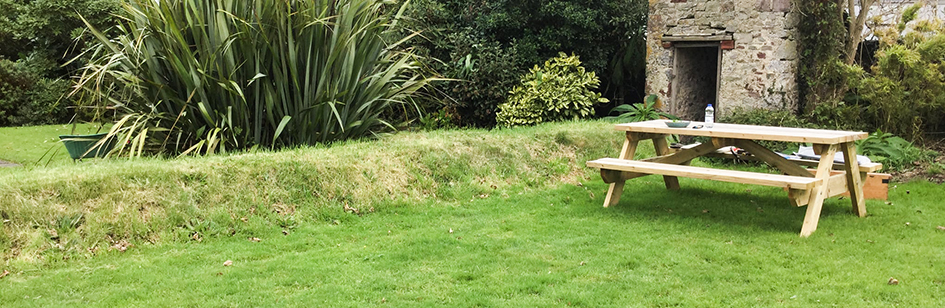 A picnic bench and some shrubbery in the garden