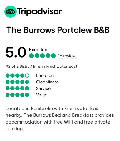 A screenshot of the 5 star average on Trip Advisor