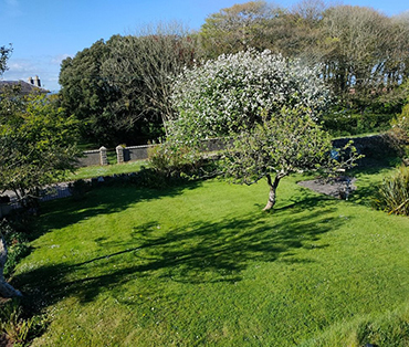 A view of the front garden from room three