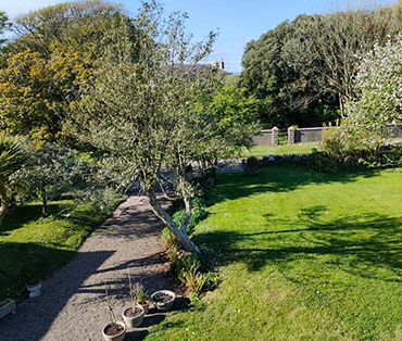 Another view of the front garden from room three